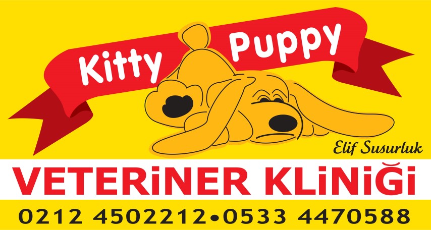 Veteriner Kliniği (Severodvinsk): açıklama, adres Veteriner Kliniği (Severodvinsk): açıklama, adres