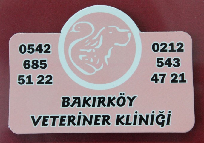 Veteriner Kliniği (Severodvinsk): açıklama, adres Veteriner Kliniği (Severodvinsk): açıklama, adres